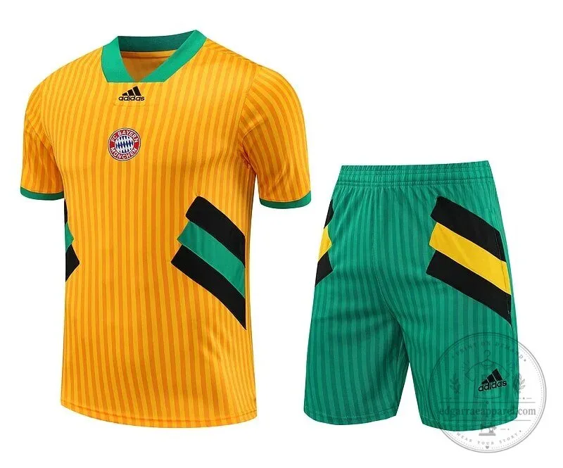 Bayern Munich 2023-2024 Retro Training Kit Football Jersey